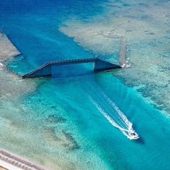 【現17名】【最高推奨日】3/8 旅ガチ仲間 交流会　@海外旅行...