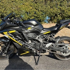 zx25r カワサキ ninja 250 バイク カウル綺麗　zx-25r　の画像