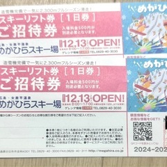 めがひらスキー場 スキーリフト券 1日券　２枚