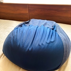 ニトリ ビーズソファー（ジュノア）の画像