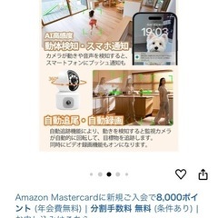 新品未使用ペット見守りカメラ(値下げ)の画像