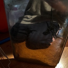 食器置きの画像