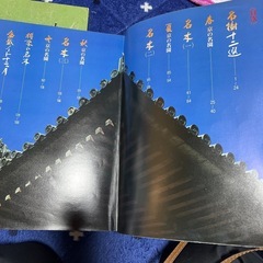 盆栽の本　盆栽好きな方　緑のほうは売り切れですの画像