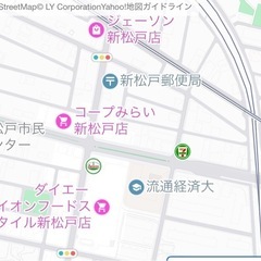松戸🌸春のフラダンス無料体験会🌸新松戸市民センター - 松戸市