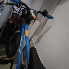 子供用男子自転車の画像