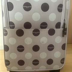 OLIVE des OLIVE  carryの画像