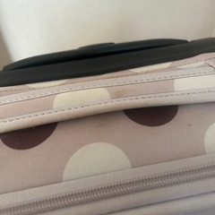OLIVE des OLIVE  carryの画像