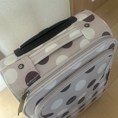 OLIVE des OLIVE  carryの画像