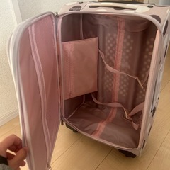 OLIVE des OLIVE  carryの画像
