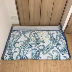2枚合わせ 毛布 シングル 衿付き 2枚合わせ毛布 ふんわり な...