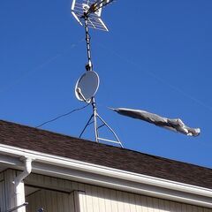 自宅のテレビアンテナにビニールがひっかかったのでとってほしい！！