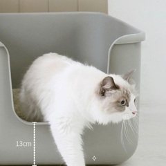 猫 特大トイレ⭐︎ONEKOSAMAの画像