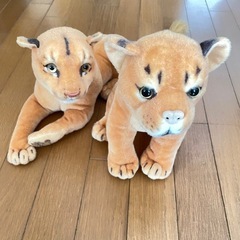 決まりました。美品 トラ ぬいぐるみ
