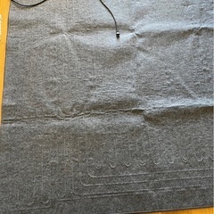 決定済み‼︎ホットカーペットの画像