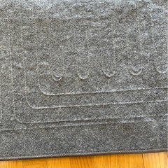 決定済み‼︎ホットカーペットの画像