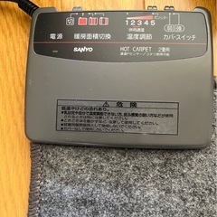 決定済み‼︎ホットカーペット