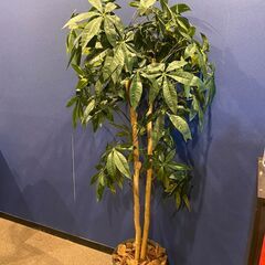 観葉植物（フェイクグリーン）２の画像