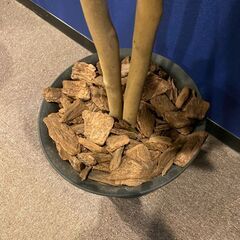 観葉植物（フェイクグリーン）２の画像