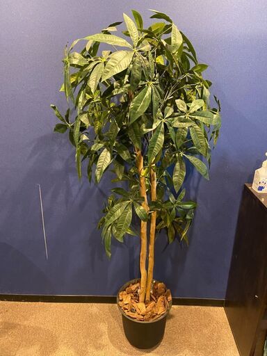 観葉植物（フェイクグリーン）２