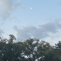 3/20（木祝）朝活　大濠公園ウォーキング