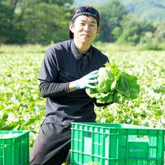 農作業スタッフ（未経験歓迎）◆季節限定募集／週2日（計10時間以上）～勤務可能／交通費支給ありの画像