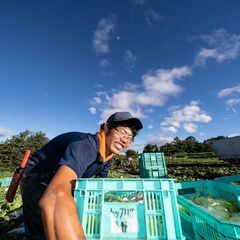 農作業スタッフ（未経験歓迎）◆季節限定募集／週2日（計10時間以上）～勤務可能／交通費支給ありの画像