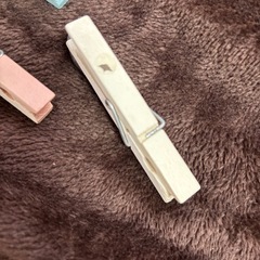クリップ色々の画像