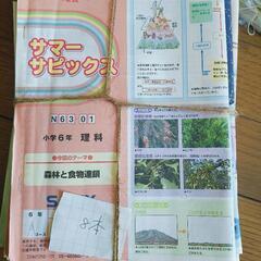 Sapix 小学6年 学習参考書地理セットの画像