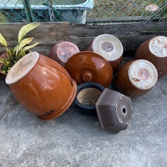 メダカ鉢、味噌壺、水瓶、植木鉢
