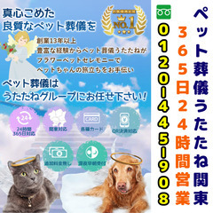 船橋市・習志野市のペット火葬・葬儀 - 16年の経験と24時間年...