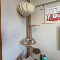 【譲渡者決定】キャットタワー