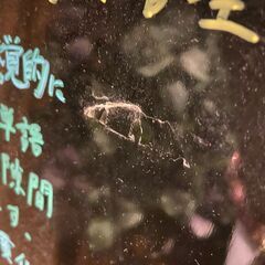 ブラックボードの画像