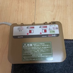 (決まりました)ホットカーペットの画像