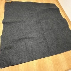 (決まりました)ホットカーペット