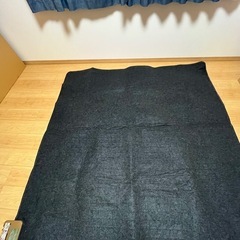 (決まりました)ホットカーペットの画像