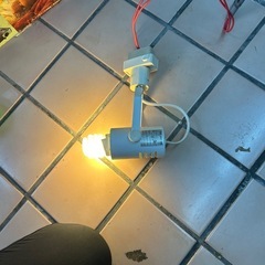 ヤザワコーポレーション　スポットライト