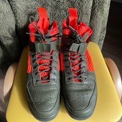 ナイキ　NIKE スペシャルフィード　エア　フォース　靴