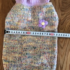 試着のみペット服の画像