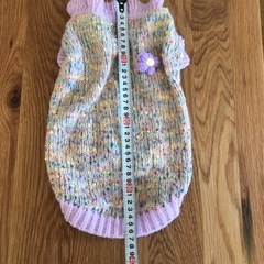 試着のみペット服の画像