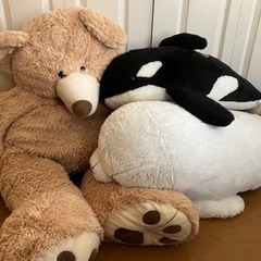 コストコ　くま&アザラシぬいぐるみ　鴨川シーワールドシャチ？
