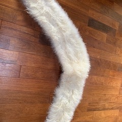 着物　ファーストールの画像