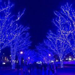 📢急募📢2月22日(土)～3月8日(土)💫短期でも！長期でも大歓...