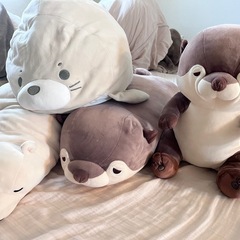 ぬいぐるみ　セット
