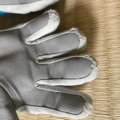 スキー手袋　ジュニアの画像