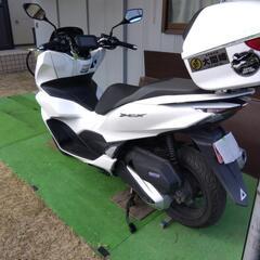 PCX125 、2021年現行モデルの画像