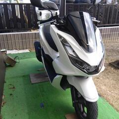 PCX125 、2021年現行モデルの画像