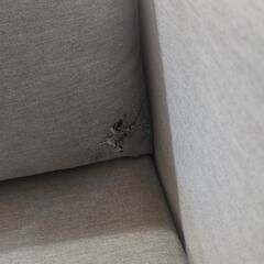 IKEAカルルスタード　イケアソファ　グレーの画像