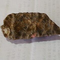 アメジストクラスターの画像