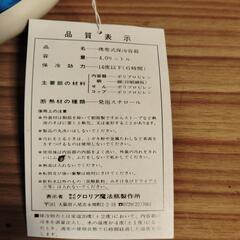 【災害時に備えて🌀⚡】携帯式保冷容器4Lの画像