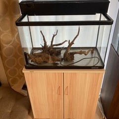 アクアリウム用品の画像